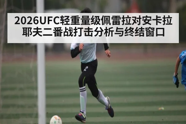 2026UFC轻重量级佩雷拉对安卡拉耶夫二番战打击分析与终结窗口